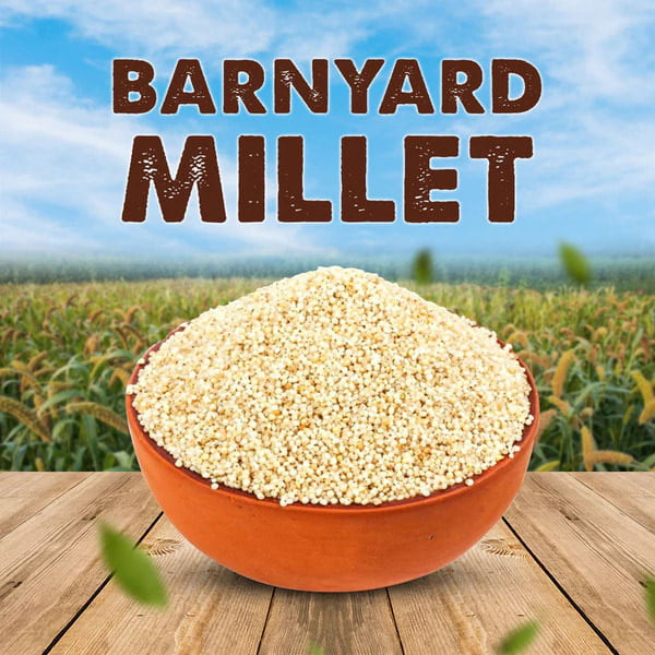 SV Kuthiraivali Barnyard Millet