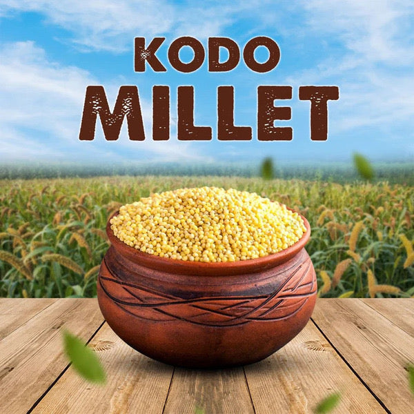 SV Homemade Varagu Kodo Millet