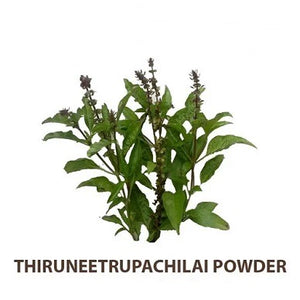 Thiruneetru Pachilai Powder- 50gms