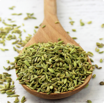 SV Homemade Fennel Seed-500gm