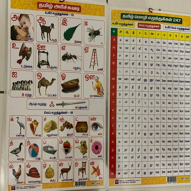 Tamil Alphabet Chart - 1 Pcs