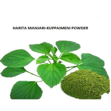 Kuppameni Powder 50gms